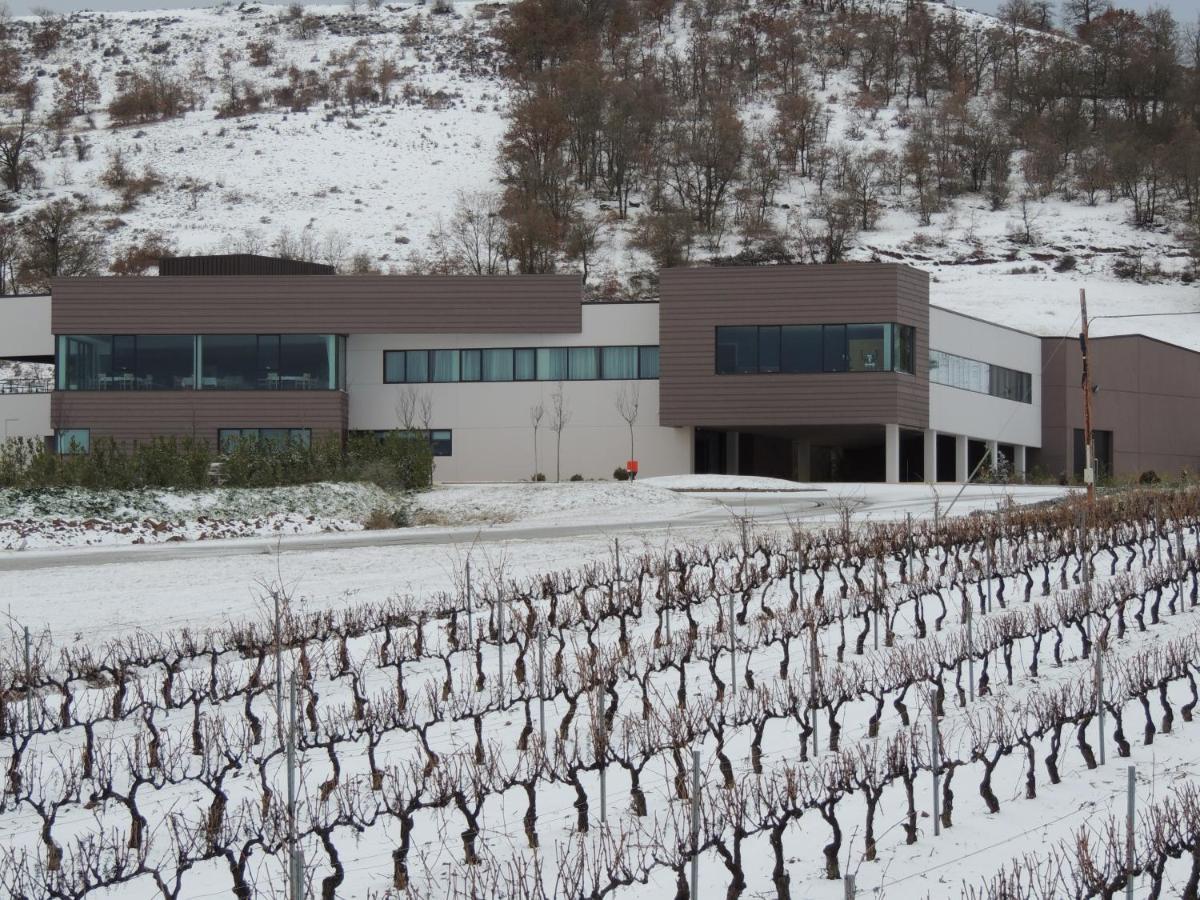 Hotel Bodegas Traslascuestas